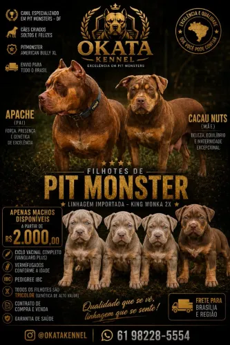 Filhotes de Pit Monster