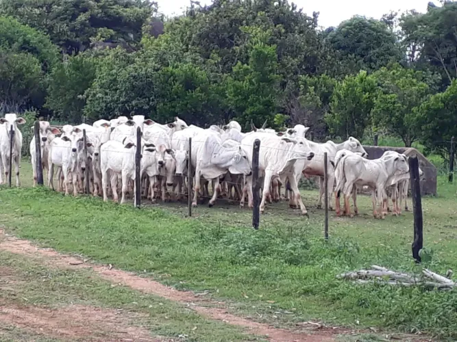 FAZENDINHAS perto de Paraopeba sem entrada em 180 vezes
