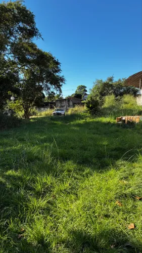 Terreno 20x40