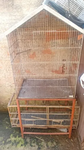 Vendo gaiola 