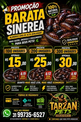Barata sinerea