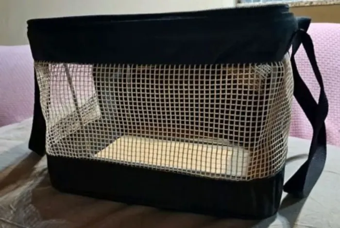 Bolsa pet para transporte aéreo