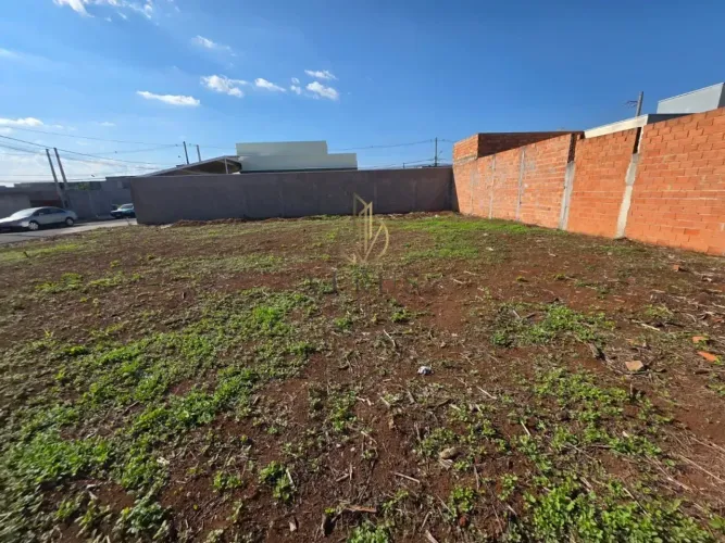 Terreno 200 metros quadrados plaino