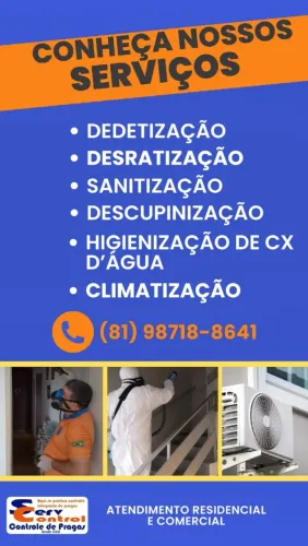 DEDETIZAÇÃO EM GERAL 