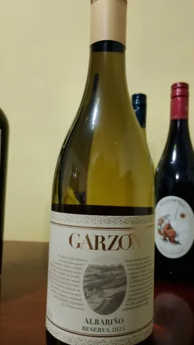 5 garrafas de vinho