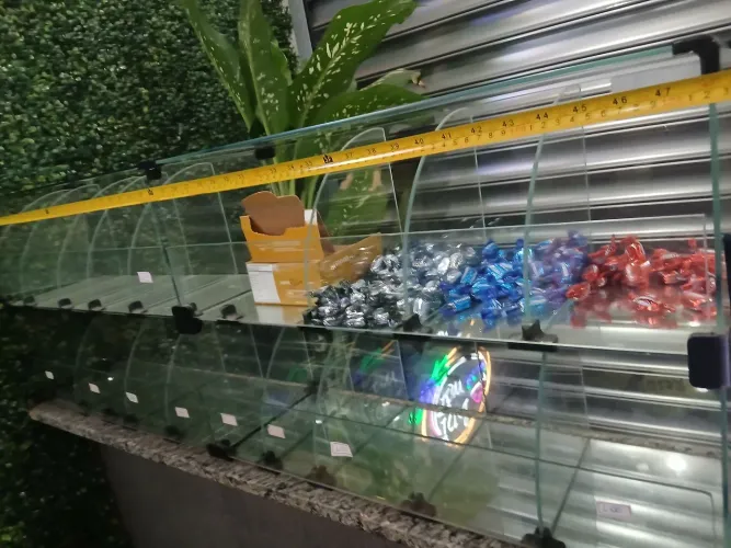 Vendo 2 ,baleiro pra expositor  barato 