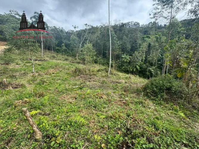 Sítio de 5.000 m² à venda Sossego e Natureza em Antônio Carlos/SC