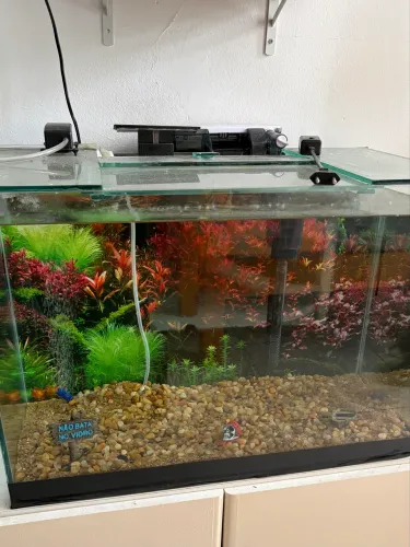 Aquário 80 litros Completo