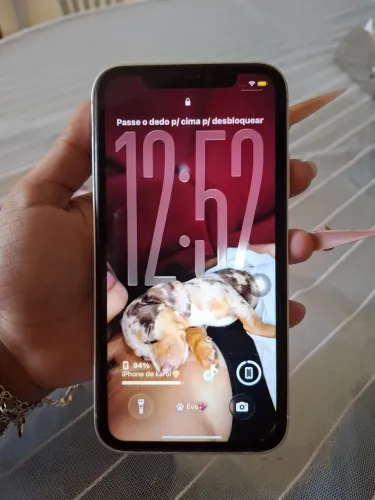 iPhone 11 na carcaça do 17 pro max