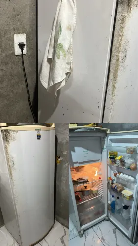 Geladeira pegando tudo perfeitamente