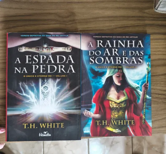 Livros sobre Rei Arthur 