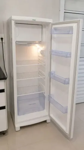 Geladeira Consul 300 Litros Frosfree