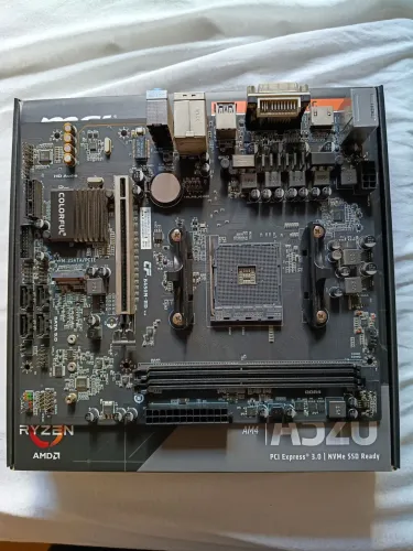 PLACA mãe