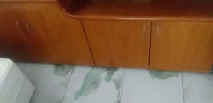 Montagem de Guarda Roupa e Móveis em Geral