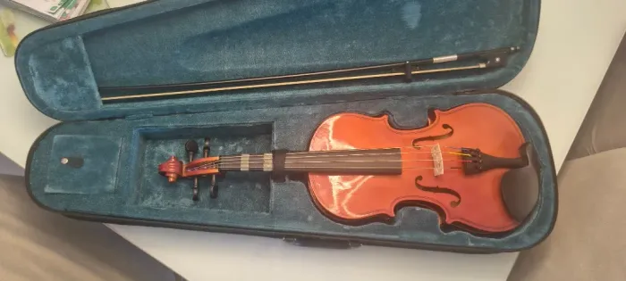 Violino