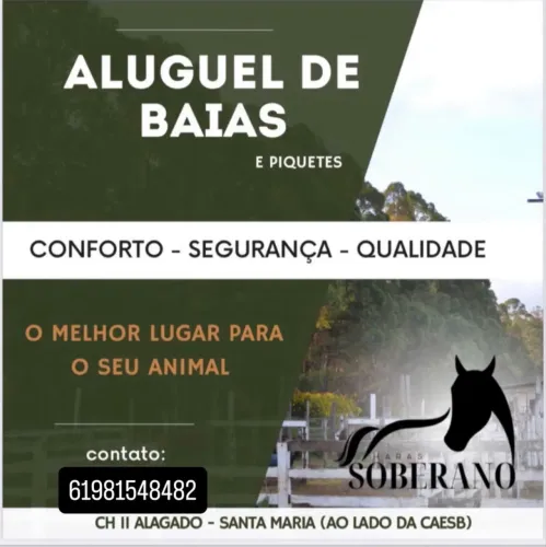 Aluguel de baias hospedagem para cavalos
