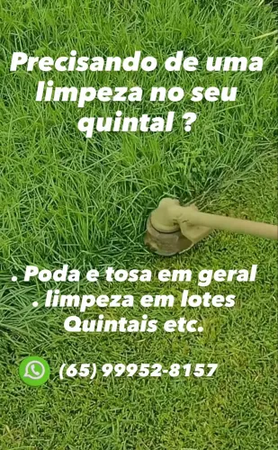 Jardinagem 