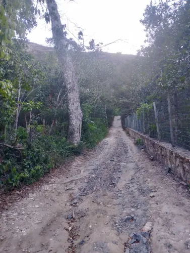 Terreno de 1000m2 todo arborizado, com água e Luz a 5 minutos da vila do vale do capão 