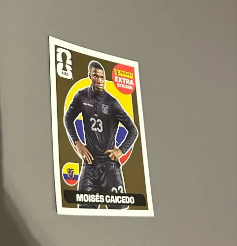 Caicedo Gold 