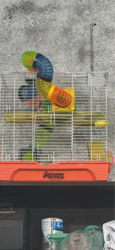 Vendo gaiola de hamister