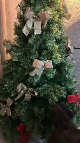 Árvore de Natal 2 metros