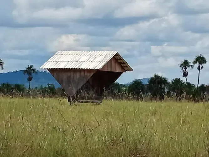 4.415 HC Fazenda boa vista Roraima município Bonfim 