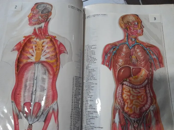 Coleção livro Barsa