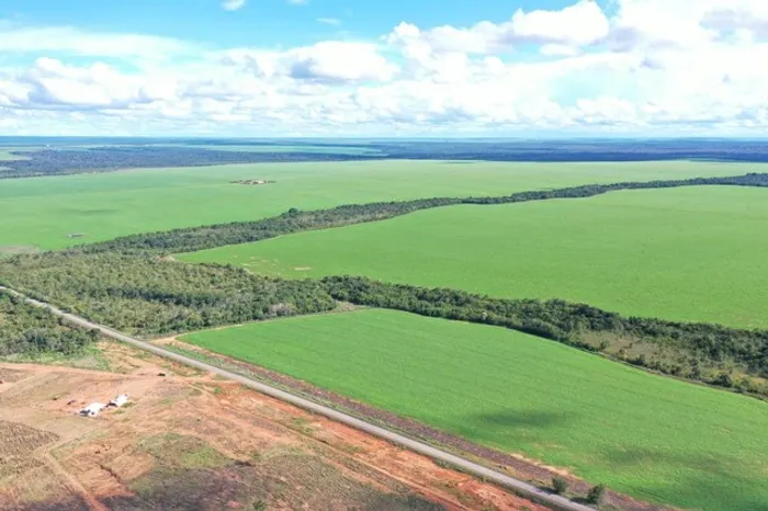 Fazenda 6.800 hectares em Santiago Do Norte-MT