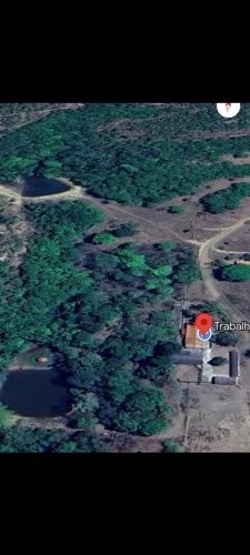 Fazenda 31 alqueires município de Aragoiânia