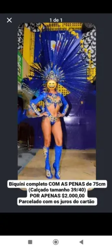 Fantasia de carnaval/triquini de passista/roupa de passista