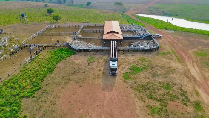 R$130 milhões Fazenda 1.400 alqueires em Tucuruí Estado do Pará