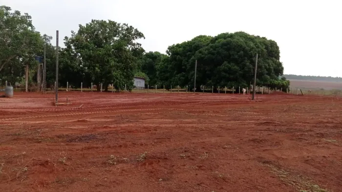 Fazenda arrendamento 3.700hrc em são José do xingú MT. Argila 25 a 35%