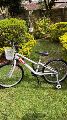 Bicicleta Caloi Ceci Aro 24