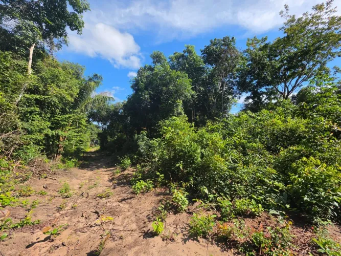 Vende-se um terreno em Aramanaí/Santarém