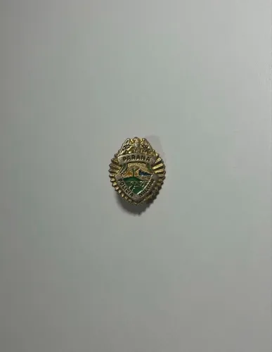 broche polícia militar paraná (item para coleção de militarismo)