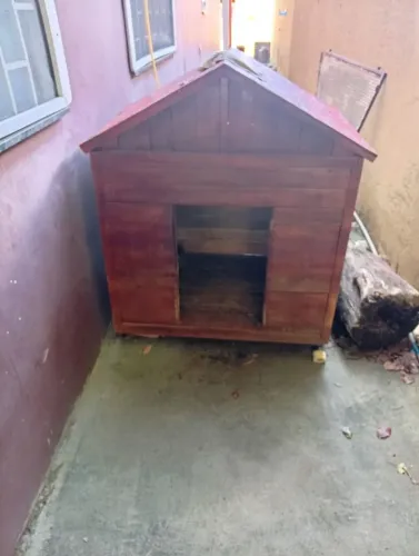 Casinha para cão