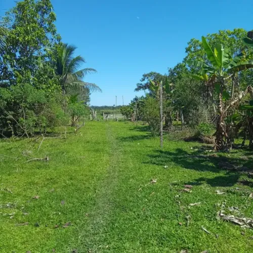 Vende-se Colônia - 204 hectares - Rio Muru - Tarauacá/AC