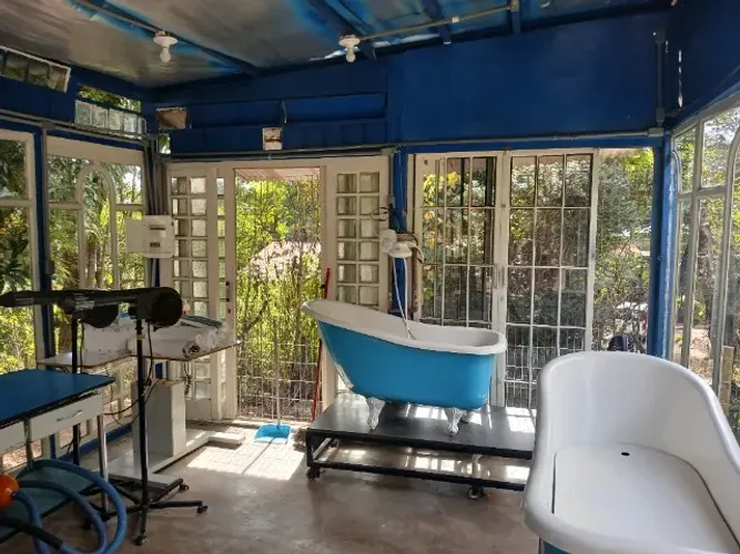 Alugo pet shop ou uma vaga no banho e Tosa PET SHOP TAQUARI .