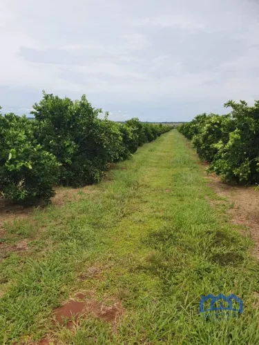 Sítio/Fazenda à Venda, 953 alqueires por R$ 700.000.000 Cód. ch2472