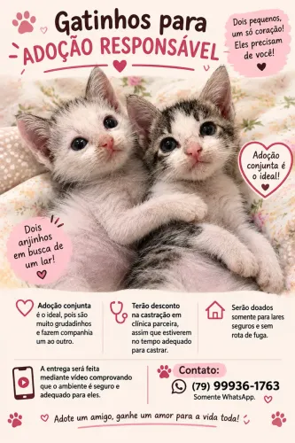 Adoção RESPONSÁVEL 
