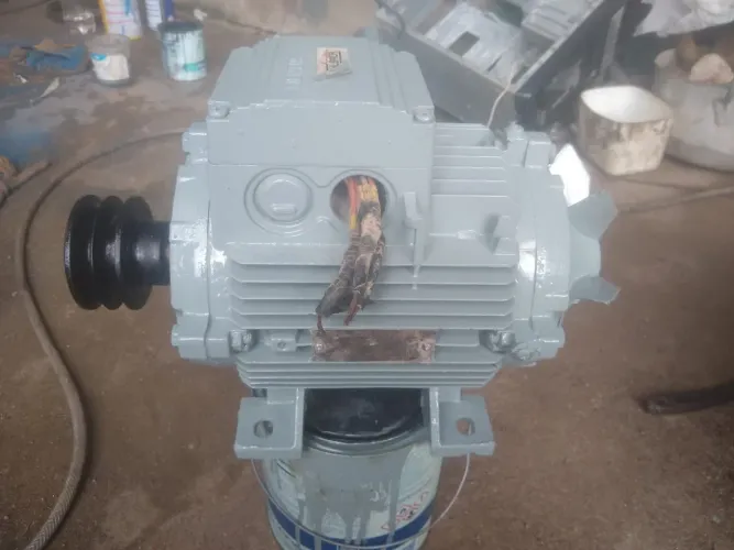 Motor elétrico trifásico 4 Cv