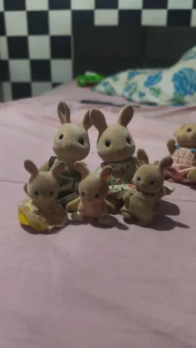 Lote de Famílias de sylvanian families