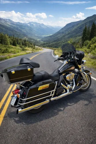Harley Davidson Electra glide Ultra classic top 2009