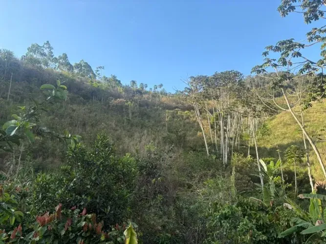 Sitio de 3,6 alqueires, entre Pancas e Alto Rio Novo/ES