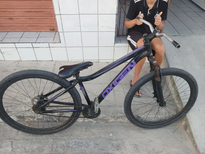 Bicicleta aro 29