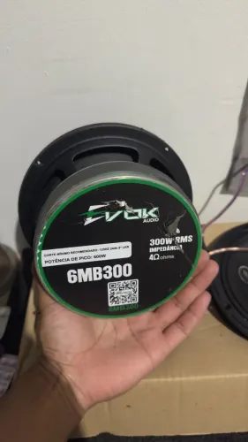 Evok 300w