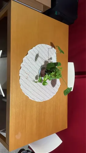 Mesa 4 Lugares Moderna e Elegante