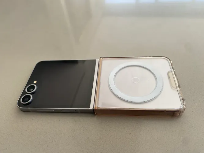 Flip Z 6 256Gb