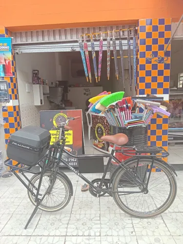 BICICLETA CARGA