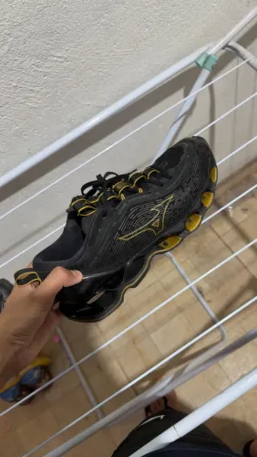 Mizuno profecy 13